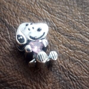Silver and Pink Pet Charm